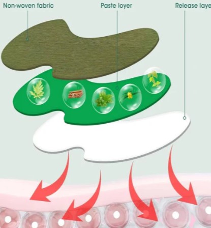 Plasturi cu extract de pelin 10+10 CADOU