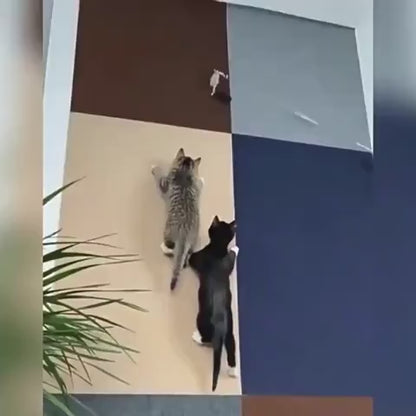 Protectie de mobila anti zgarieturi - 60 x 100 cm